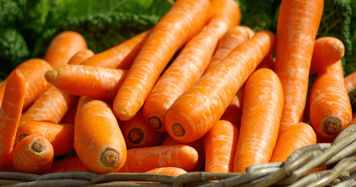 Zanahoria: la verdura imprescindible para mejorar tu vista y prevenir las cataratas