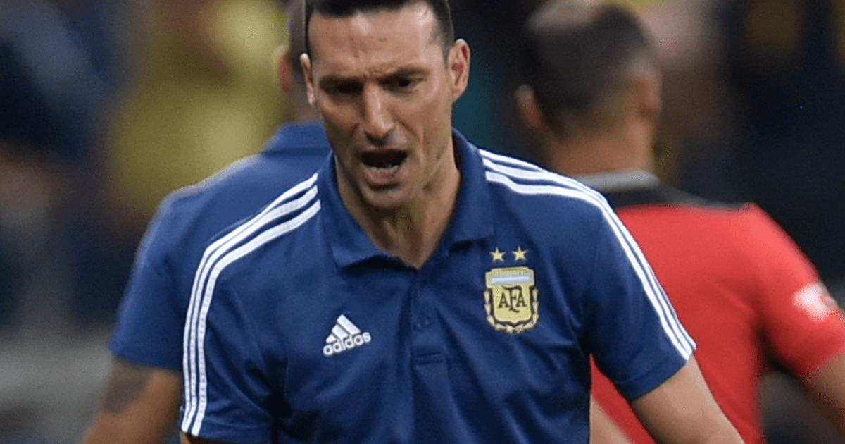 Mundial Qatar Lionel Scaloni Muy Cerca De Renovar Contrato Con La