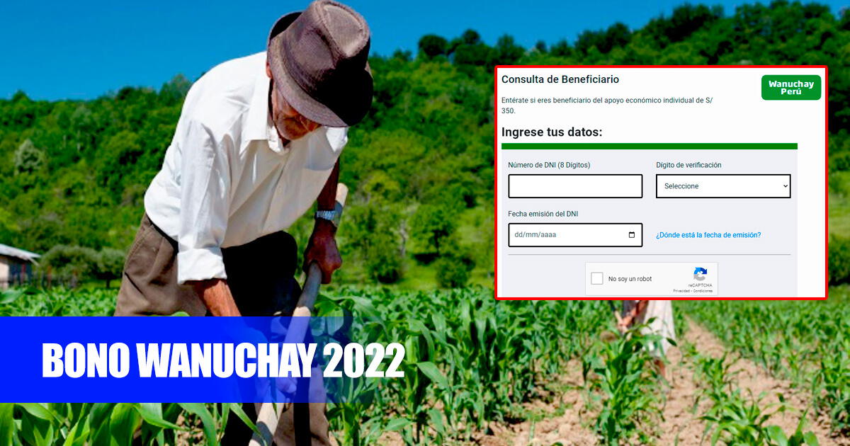 Bono Wanuchay 2022 LINK oficial consulta AQUÍ con DNI si cobrarás los