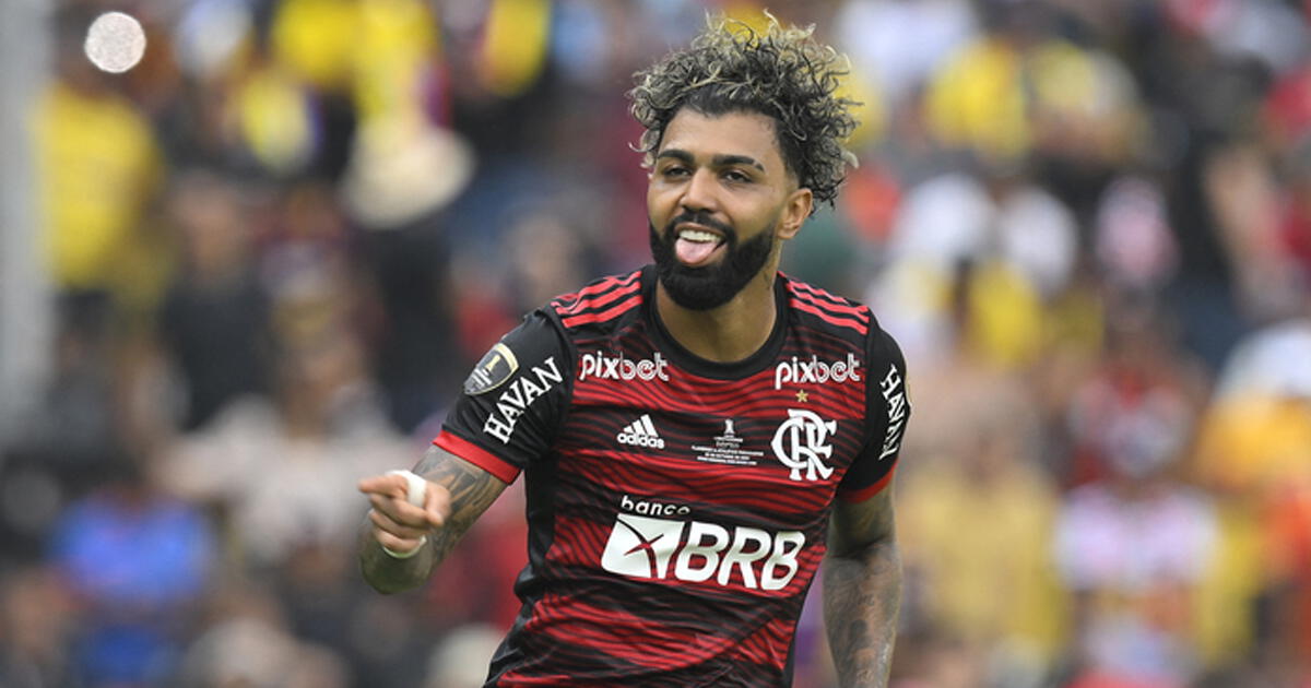 Flamengo Campe N De La Copa Libertadores Ante Paranaense Con