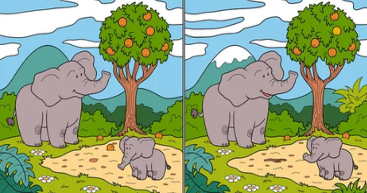 Si tienes buena memoria encontrarás las 15 cosas distintas entre los elefantes del reto
