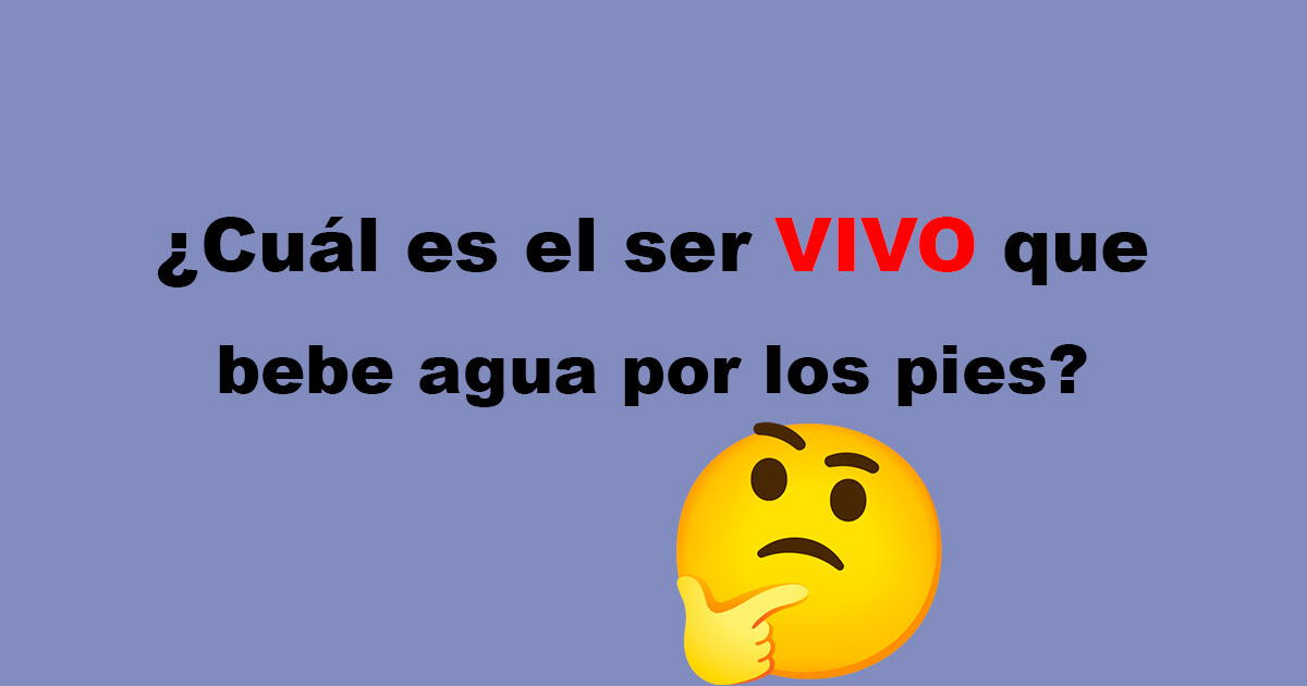 ¿Cuál es el SER VIVO que bebe agua por los pies? Responde en 5 segundos