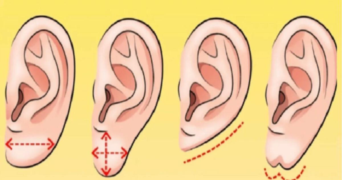 La forma de tus orejas dicen mucho de ti: ¡Descubre cómo te ven los demás!