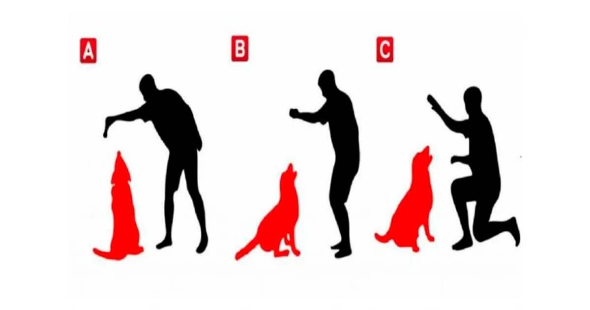 ¿Tienes un perro como mascota? Conoce más sobre ti escogiendo una figura en este test