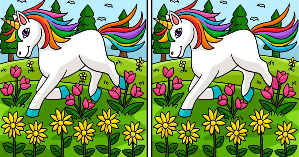 Solo una VISTA DE HALCÓN logra ver las 8 desigualdades entre los unicornios del reto