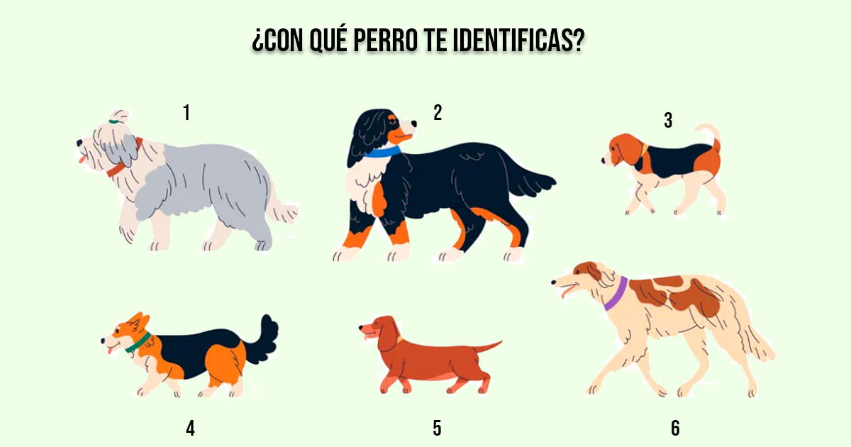 Dicen que los perros se parecen a sus dueños: elige uno y conoce ese lado oculto de ti