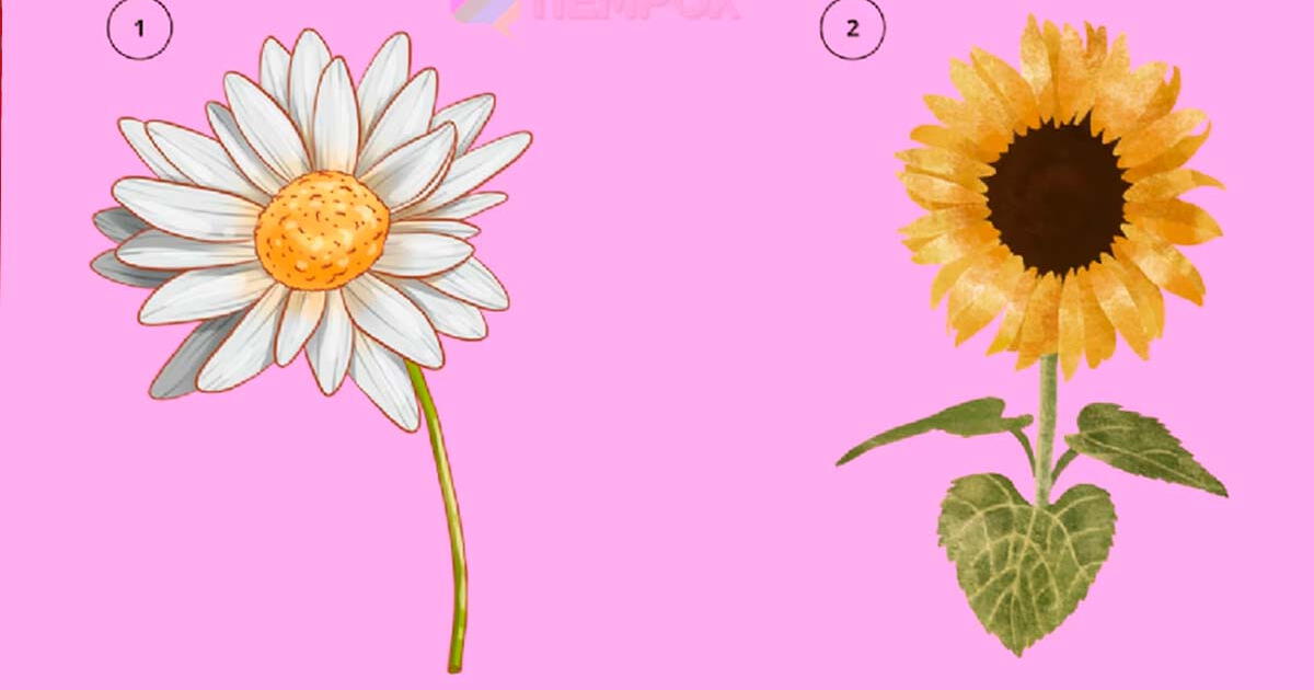 ¿Qué flor usarías en tu hogar? Responde este test y te revelaremos si eres alguien dulce