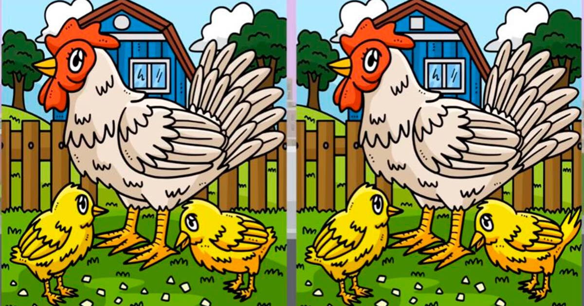 ¿Serás capaz de ubicar las 3 diferencias en la gallina y pollitos? El 99% falló en este reto