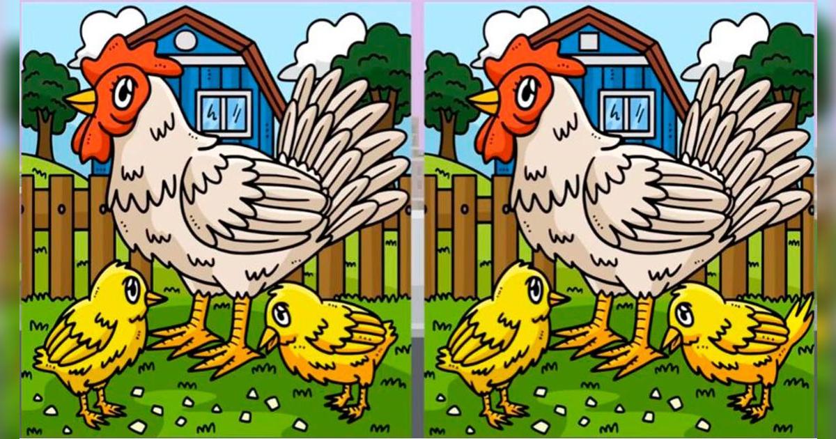 ¿Serás capaz de ubicar las 3 diferencias en la gallina y pollitos? El 99% falló en este reto
