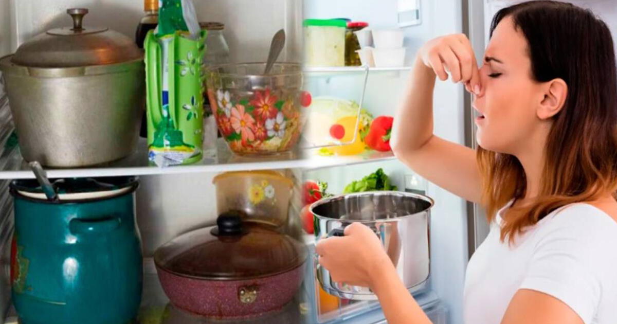 ¿Guardas tus ollas con comida en la refrigeradora? Conoce la RAZÓN por la que no debes hacerlo