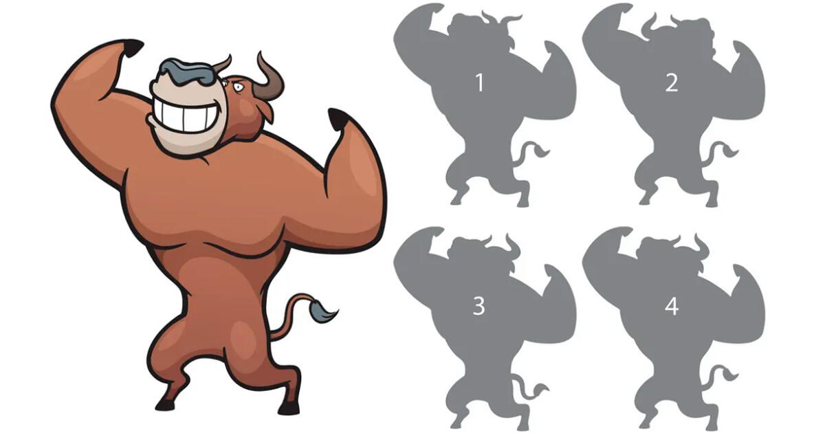 Demuestra tu habilidad visual con este RETO: ¿cuál es la sombra correcta del toro?