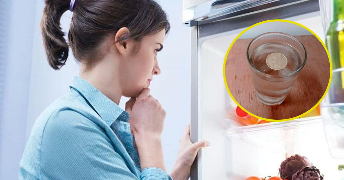 ¿Por qué debes dejar una moneda en la refrigeradora antes de viajar? Descubre el MISTERIO