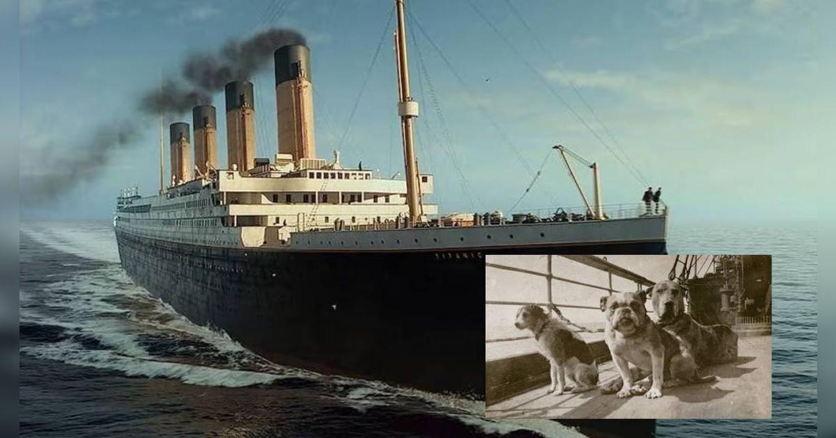 Titanic: así fue el homenaje a los 12 canes fallecidos que nadie percibió en la cinta