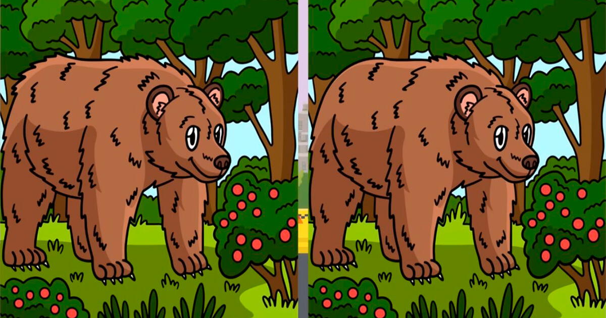 Intenta ubicar las 3 diferencias en el simpático oso, el 98% no superó este reto