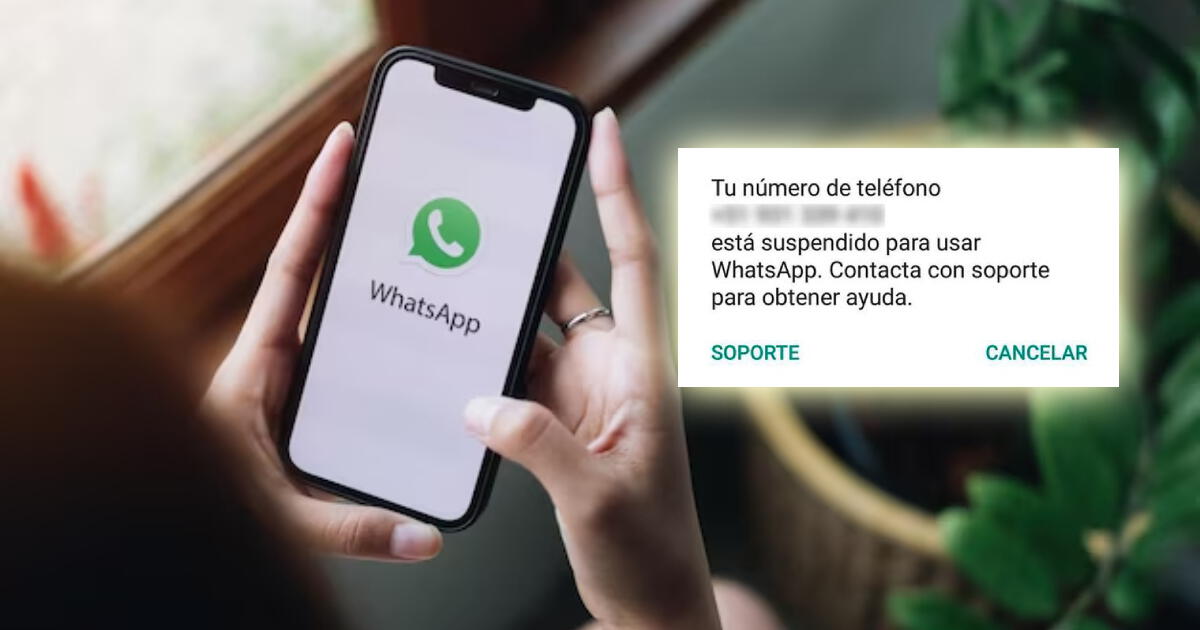 WhatsApp eliminará tu cuenta para siempre si instalaste alguna de estas aplicaciones