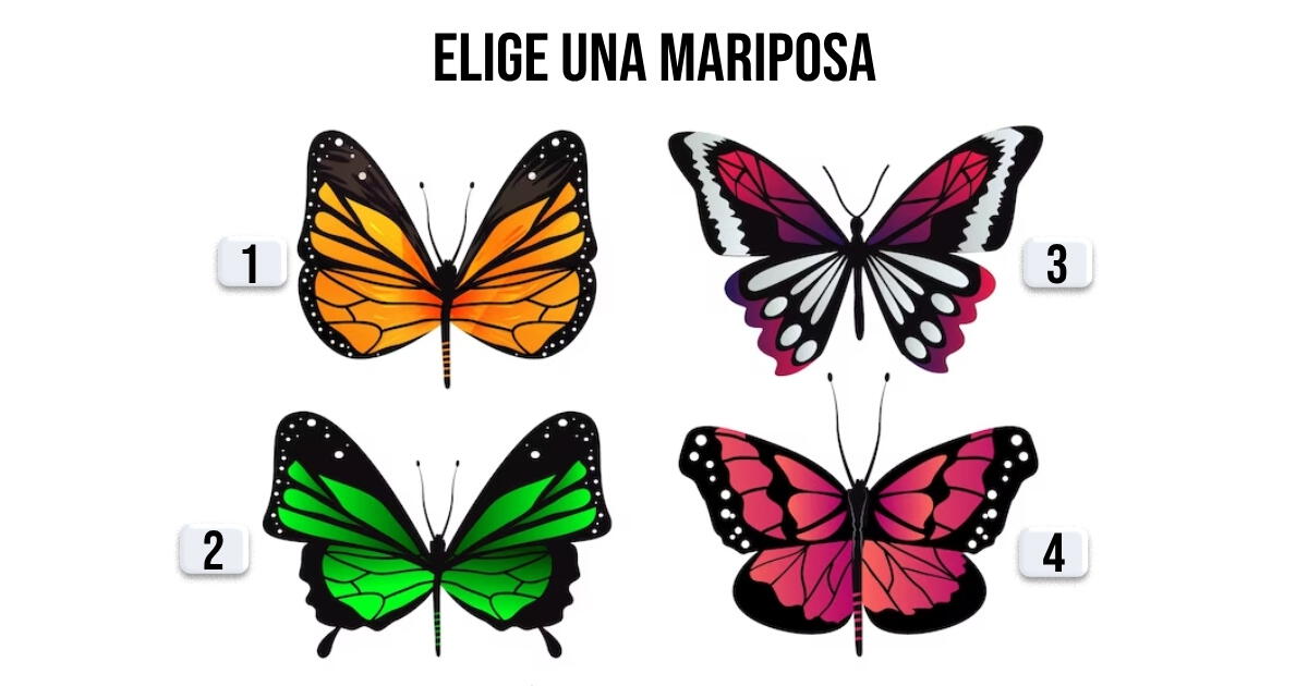 La mariposa de tu elección revelará tu nivel de superficialidad: ¿Cuál te gusta más?