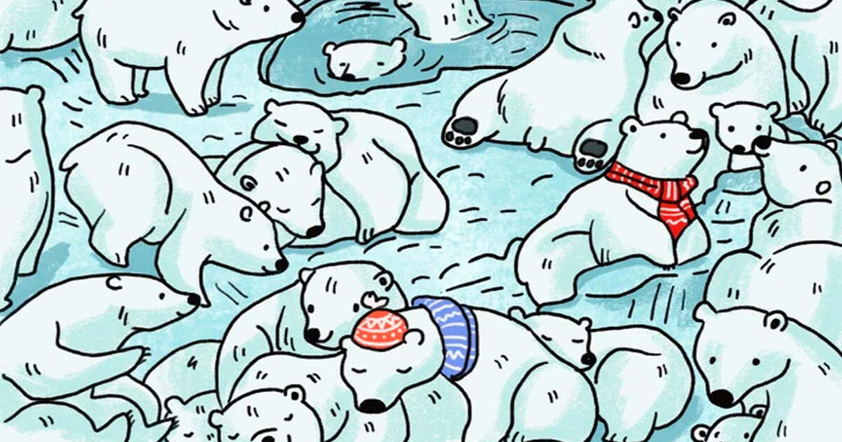 ¿Qué animal se esconde entre la manda de osos polares? Demuestra tu agilidad con este reto