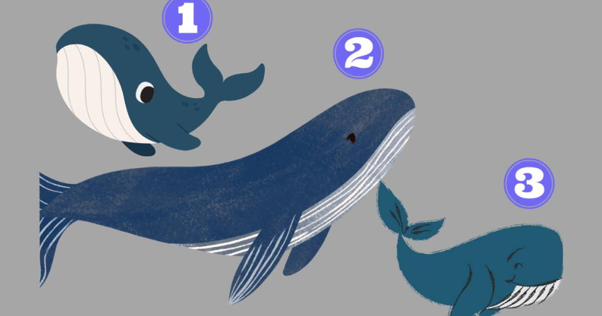La prueba que te dirá qué necesitas para dar un giro de 180º en tu vida: ¿Qué ballena prefieres?