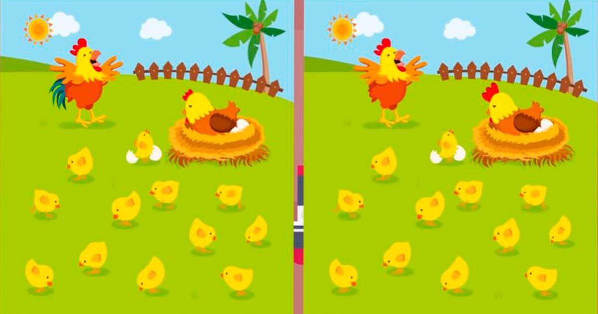 La imagen de la mamá gallina y sus pollitos esconden diferencias, ¿podrás ubicarlas?