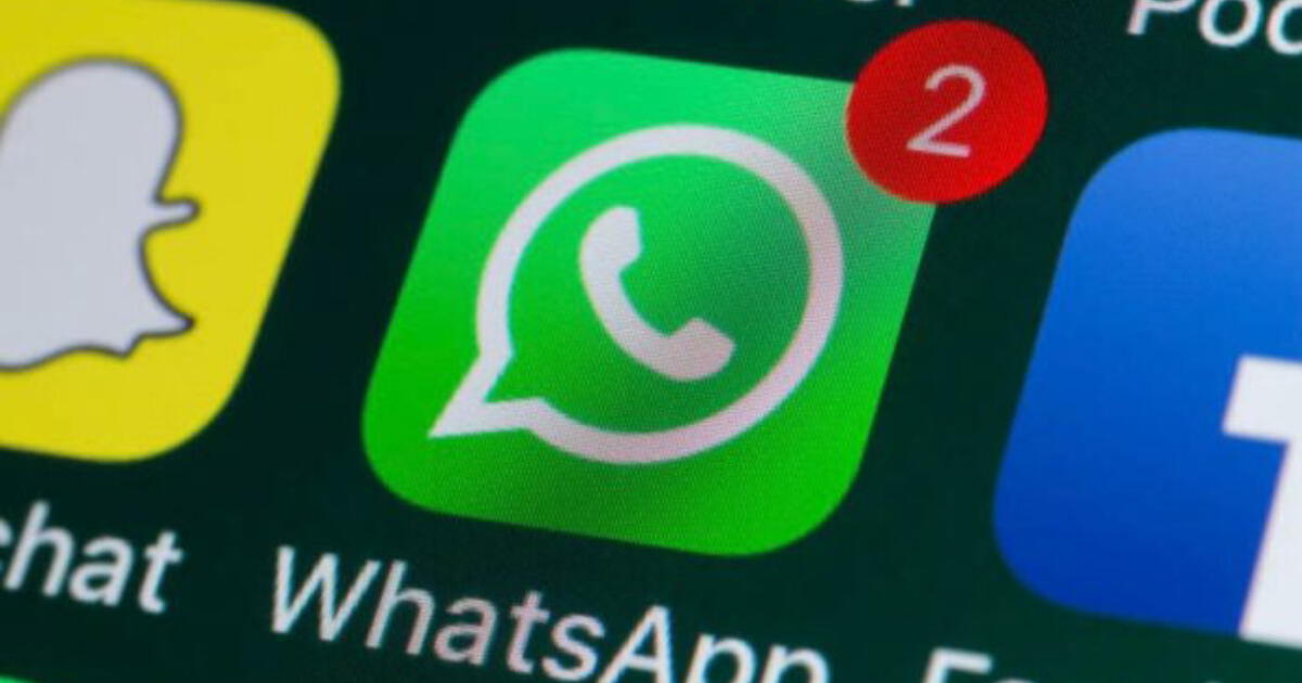 WhatsApp crashed: Downdetector, the tool that reveals the real-time status of apps.