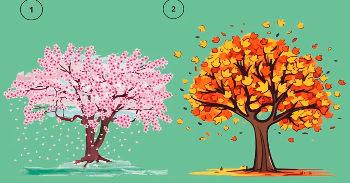 Tu estación favorita de dirá si eres una persona positiva y alegre: ¿Escoges otoño o primavera?