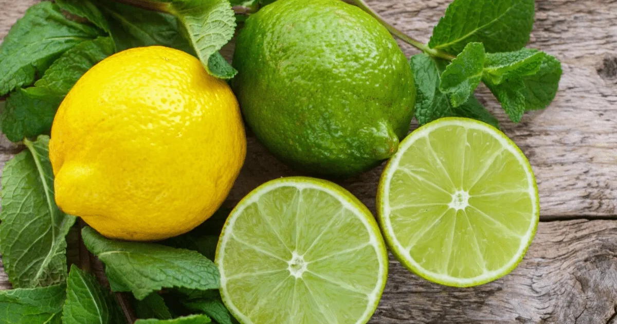 Descubre estos ingeniosos trucos caseros: limpia tu inodoro con cáscaras de limón