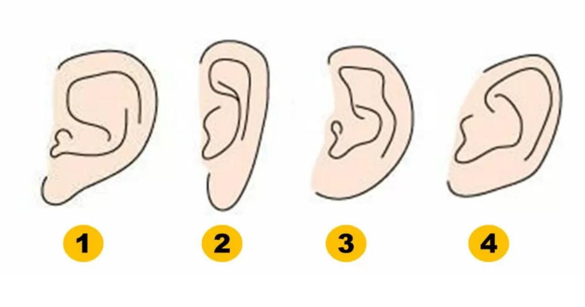 La forma de tus orejas puede revelar algo sobre tu personalidad que debes conocer: ¡Sorpréndete!