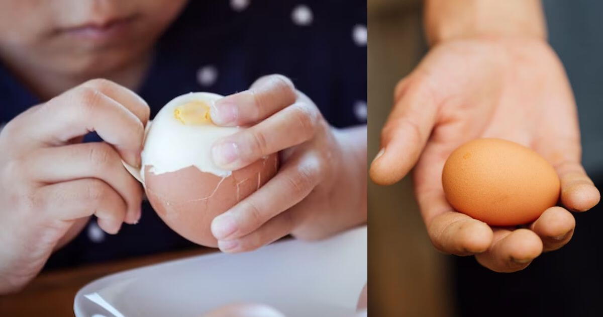 ¿Te toma tiempo retirar la cáscara de huevo recién cocido? Aplica este sencillo truco