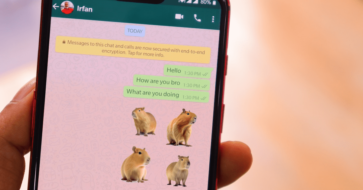 Seis sencillos pasos para que tengas los sticker de capibara en WhatsApp