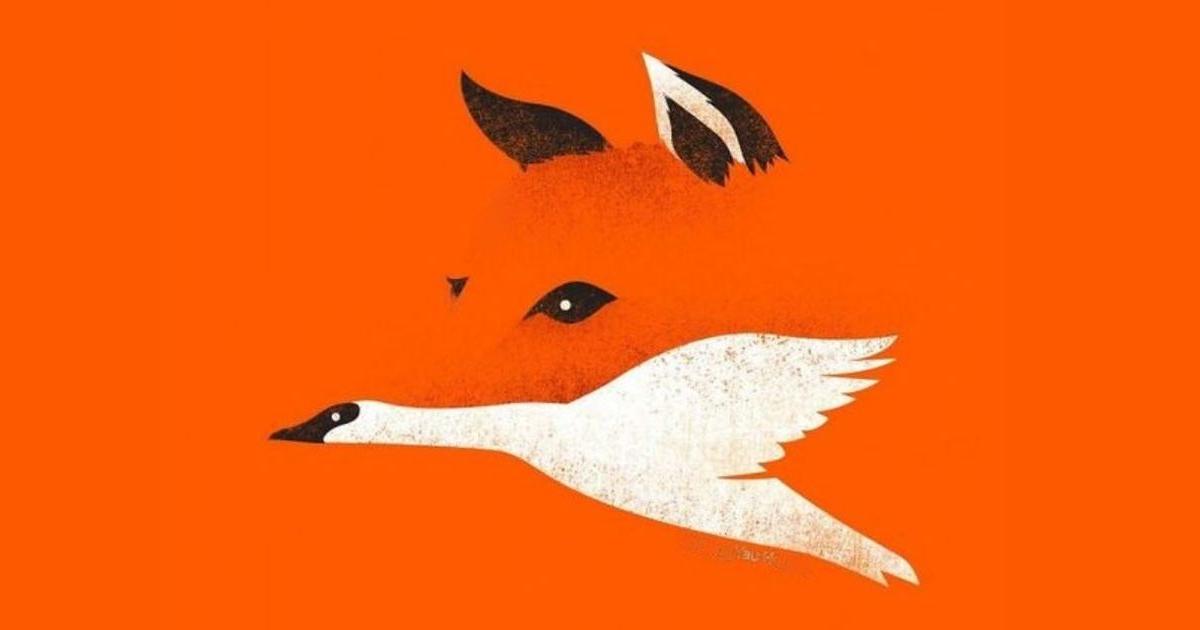 ¿Zorro o gaviota? Lo que mires primero revelará cómo manejas las situaciones inesperadas