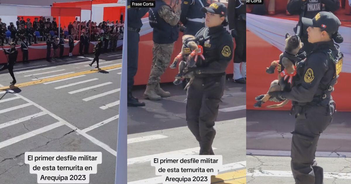 The police officer parades with his little puppy, and Peruvians burst with emotion over the sweet scene.