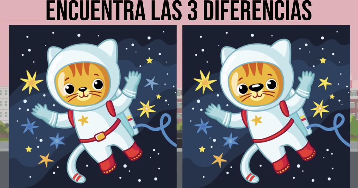 Solo el ojo más entrenado verá las sutiles diferencias entre los gatos astronautas, ¿podrás?