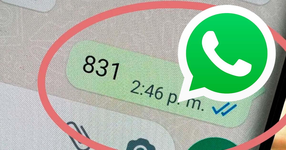 WhatsApp: ¿Cuál es el significado de '831' y por qué es popular entre los jóvenes?