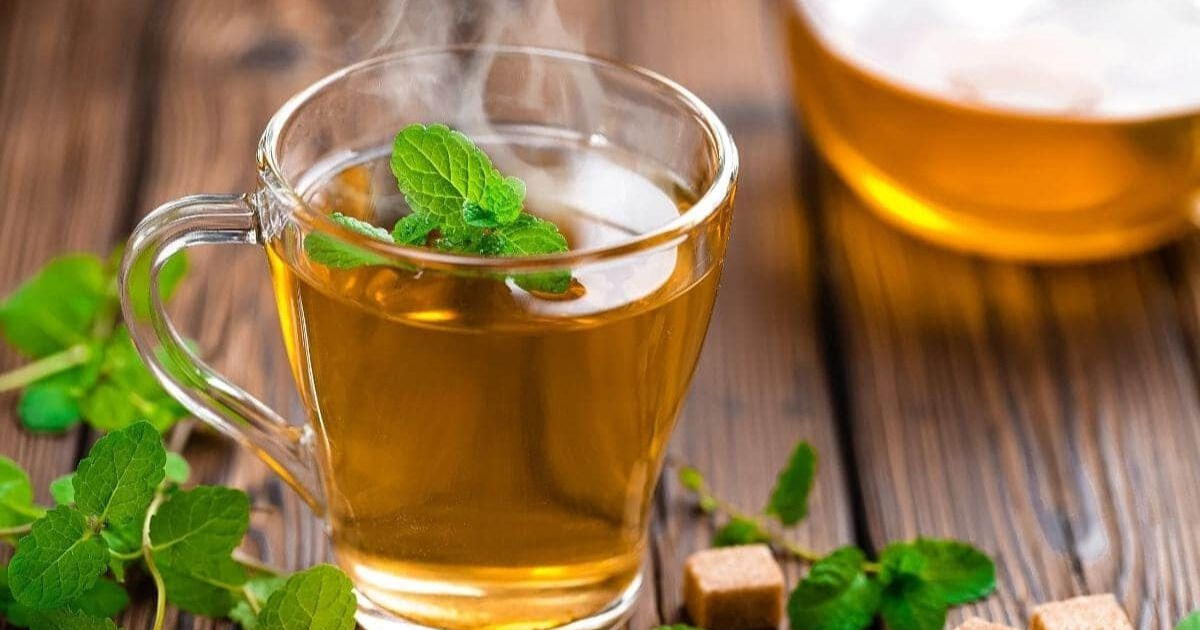 El té que debes consumir en las noches, según los expertos de la Universidad de Harvard