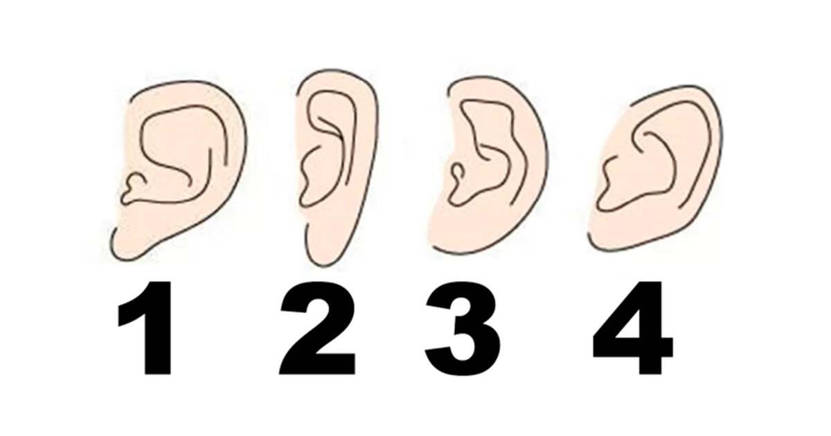 ¿Sabías qué tu oreja revelará si eres una persona tímida? Resuelve este test visual