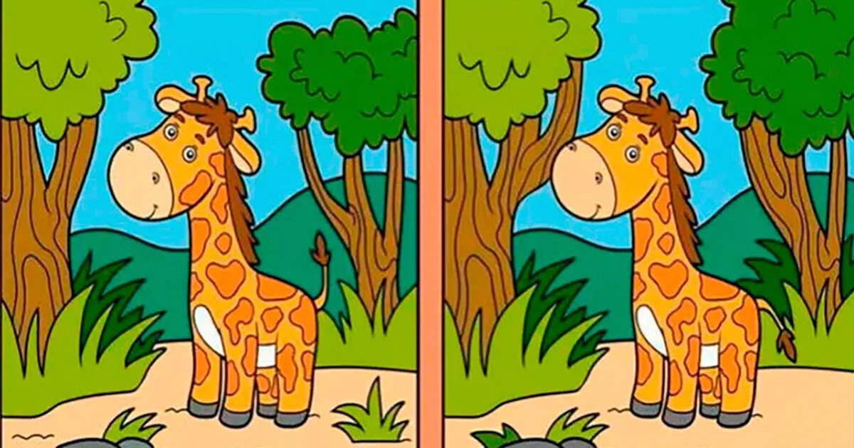 El reto visual más EXTREMO: ¿Podrás hallar las 8 diferencias en la jirafa?