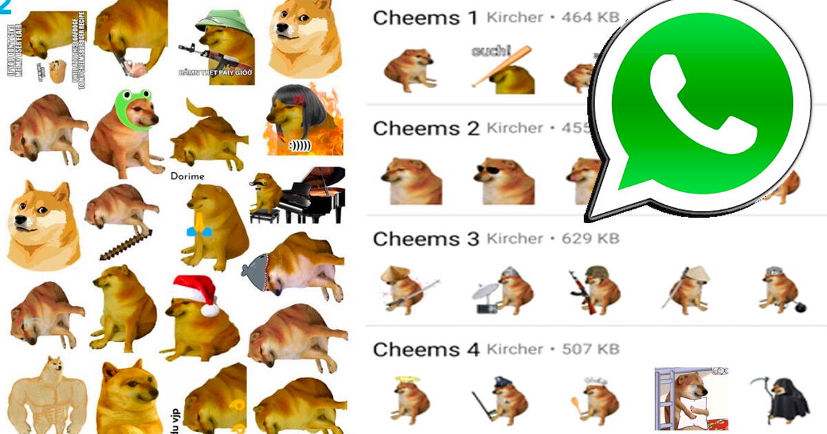 WhatsApp: This is how you can download the stickers of 'Cheems', the beloved meme dog who passed away.