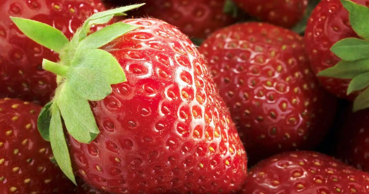 ¿Te gustan las fresas? Conoce los beneficios que este fruto le brinda a tu organismo