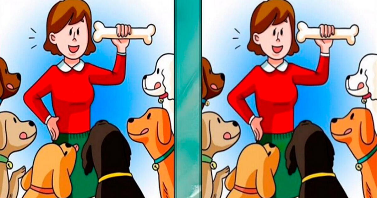 ¡Los perros esperan tu respuesta! Deja que tu cerebro trabaje y halle 3 diferencias en 10 segundos