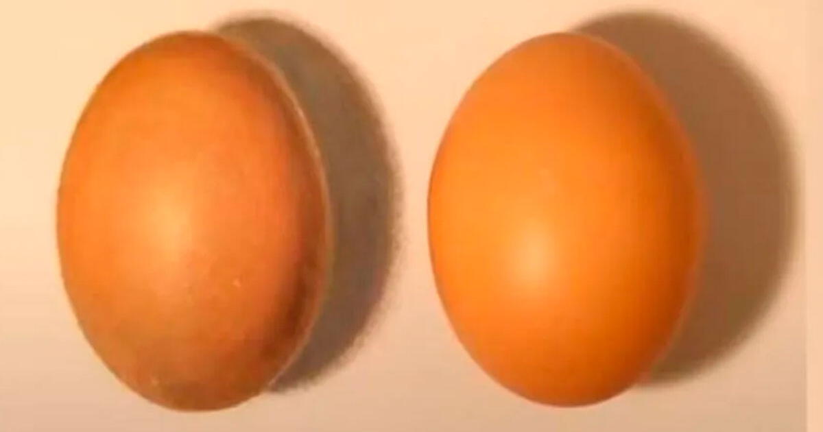 ¿Cuál es el huevo real? Tienes una sola oportunidad para descifrar la respuesta en tiempo récord