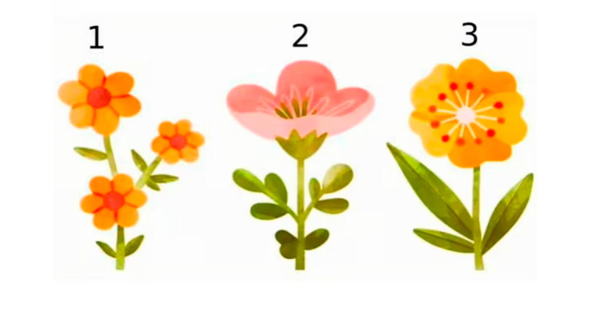 Descubre tu fortaleza mental respondiendo este test: ¿Qué flor te gusta más?