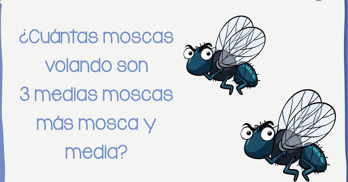 Si eres alguien hábil, acertarás: ¿Sabes cuántas moscas son en total?