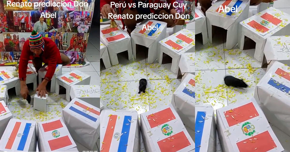 Cuy Renato predice una remontada en el Perú vs. Paraguay, según hinchas
