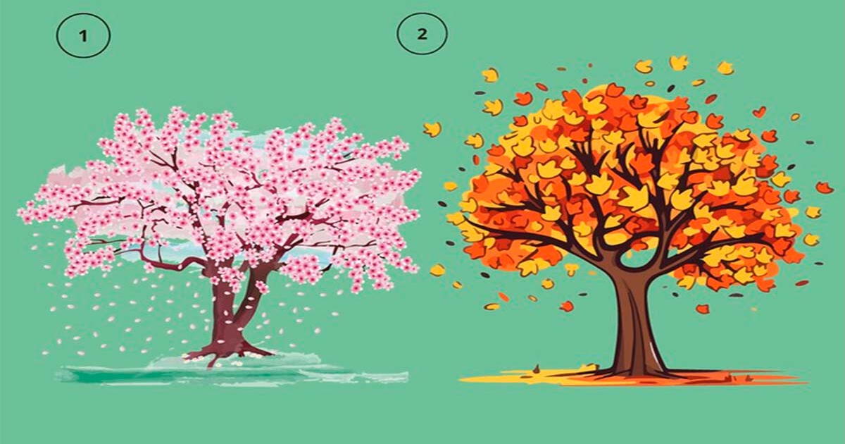 ¿Prefieres el otoño o primavera? Conoce si logras observar la vida de manera positiva
