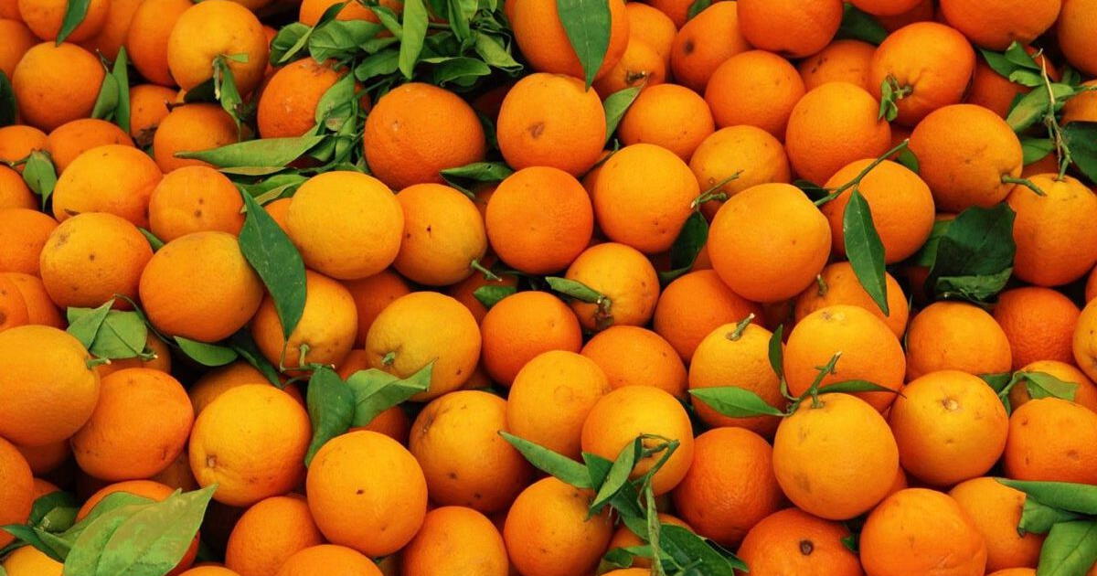 ¿Conoces todos los beneficios que ganarías si incluyes a la naranja en tu dieta?