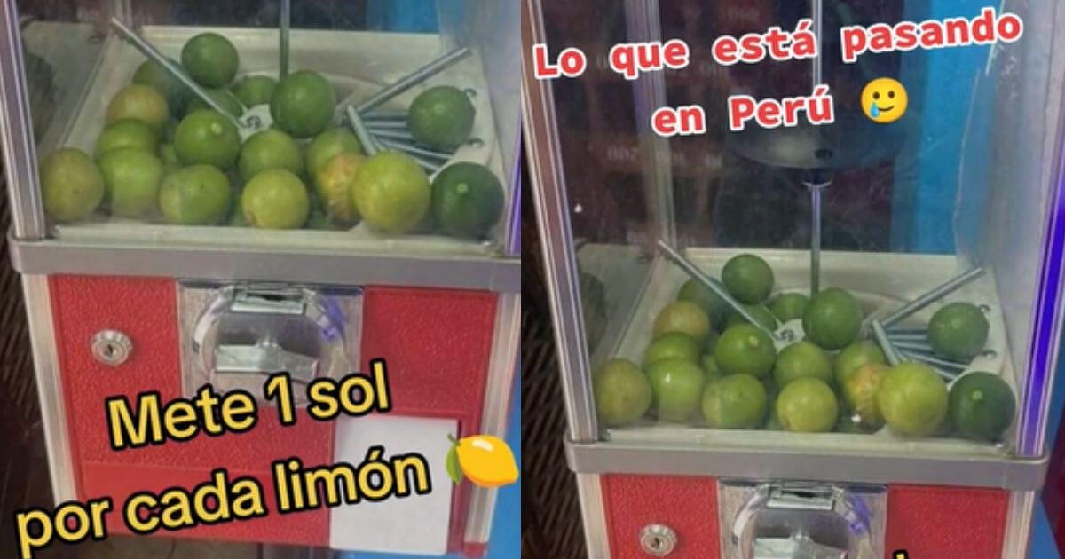 Joven vende limones en máquina de dulces y usuarios agradecen negocio: 