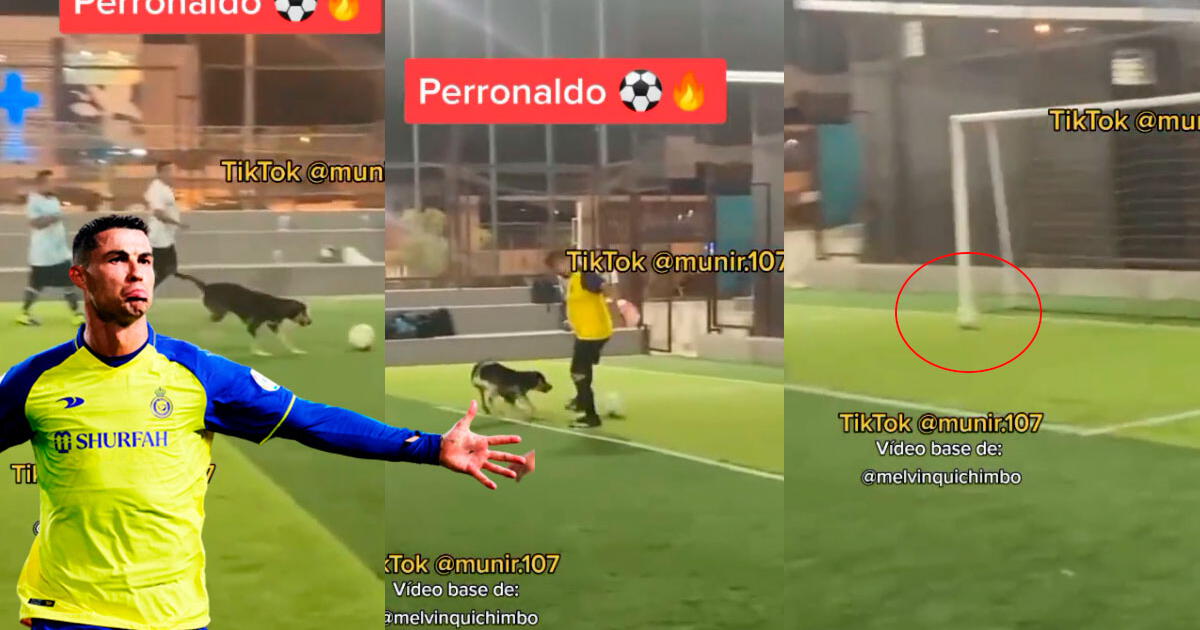 Perrito apodado 'Perronaldo' se suma al ataque y anota gol de 'huacha' en pichanga