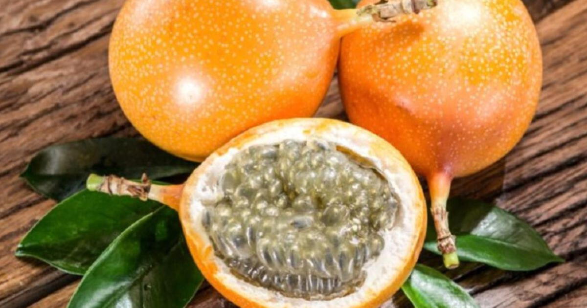 Granadilla, la fruta peruana que sorprende al mundo por sus propiedades nutritivas