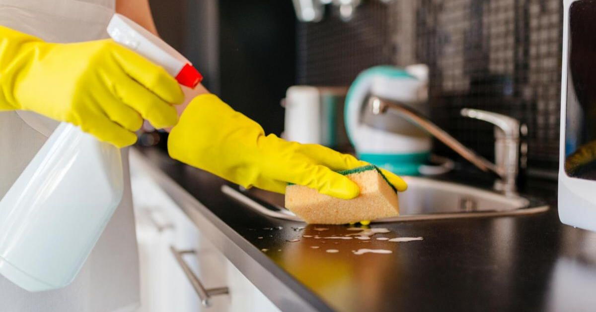 Erradica la presencia de insectos en tu cocina con este simple truco casero