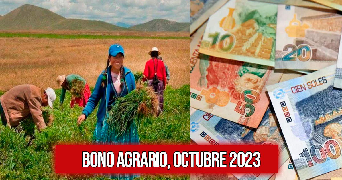 Bono Agrario octubre 2023: consulta con tu DNI dónde cobrar el FertiAbono 3 de hasta S/ 7,447